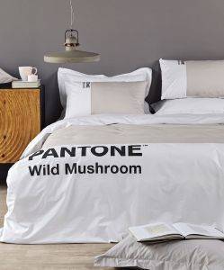 ΠΑΠΛΩΜΑΤΟΘΗΚΗ ΥΠΕΡΔΙΠΛΗ KENTIA PANTONE 4203 ΜΠΕΖ 3TMX 220X240CM ΠΑΠΛΩΜΑΤΟΘΗΚΗ ΥΠΕΡΔΙΠΛΗ KENTIA PANTONE 4203 ΜΠΕΖ 3TMX 220X240CM