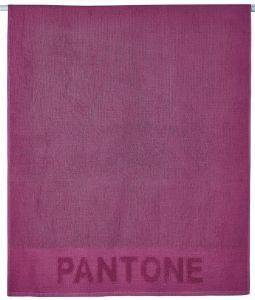 ������� ��������  KENTIA LOFT PANTONE 0222 ������  80X160CM