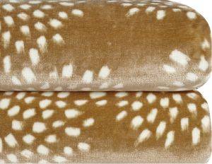   KENTIA  SKYLAR 26 BEIGE 220X240CM