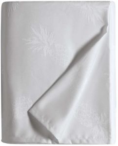 KENTIA ANANAS 00  170X230CM