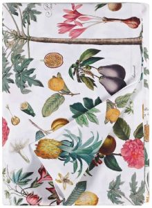 ΤΡΑΠΕΖΟΜΑΝΤΗΛΟ KENTIA FRUTTA 150X250CM ΤΡΑΠΕΖΟΜΑΝΤΗΛΟ KENTIA FRUTTA 150X250CM
