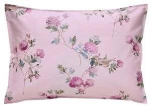 ��� ������������� KENTIA ARIANNA (2���)