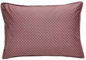   KENTIA ARLENE 03A (2)