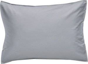 ��� ������������� KENTIA EMPRESS 22 (2���)