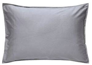 ��� ������������� KENTIA GIANNA 24A (2���)