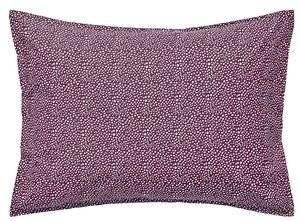   KENTIA GRACY 42A (2)