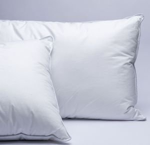 ΖΕΥΓΟΣ ΜΑΞΙΛΑΡΙΑ PALAMAIKI REVE COMFORT WHITE (50X70CM) ΖΕΥΓΟΣ ΜΑΞΙΛΑΡΙΑ PALAMAIKI REVE COMFORT WHITE (50X70CM)