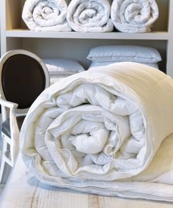  4 SEASONS KENTIA KING SIZE