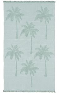  -  KENTIA COCOS 10 GREEN  (95160 CM)