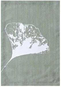 ������ KENTIA MIKA 34-A 4 ��� 33X45CM