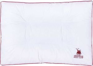  GREENWICH POLO CLUB  ESSENTIAL 2349 50X70CM