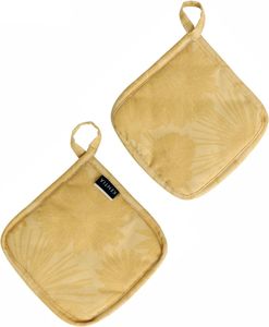    KENTIA LUELA 03 YELLOW 2
