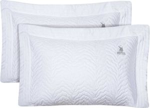 ������������� GREENWICH POLO CLUB CLASSIC 2351 ����� 2��� (50X70+8CM)