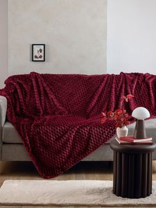 �������� ���� ������ FLEECE PALAMAIKH HOME ASTER ������� (160X220CM)