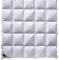    BILLERBECK COLINA - ...
