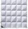   BILLERBECK COLINA - ...