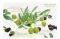 ΣΟΥΠΛΑ NUOVA OLIVES 45X30CM ΣΟΥΠΛΑ NUOVA OLIVES 45X30CM