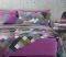   NEF-NEF OPAL PURPLE (23024...