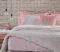    NEF-NEF CATELYN ROSE (...