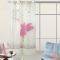 ��������  DAS HOME CURTAIN LINE �� �������  1...