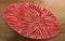 ������ �������  NAF NAF SUNRISE ���� ROJO 60�...