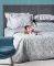  KING KENTIA SLS LOLITA 22     3TMX 260X240CM