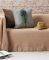   KENTIA TWIGGY 40 