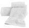   KENTIA BRAND SNOW  501...