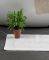 ������ ������� KENTIA NAGA 12 ����� 50�70CM
