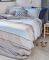   KENTIA DOMUS 22   4TMX...