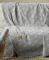   KENTIA VERGINA 22  18025...