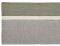 RUNNER KENTIA  CORALIS 36  2TMX 45X150...