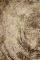  GCARPETS LAZORDI 8426   16023...