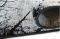  GCARPETS SUPER ROSE 5205  133190CM