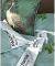 �������� ��������� KENTIA PANTONE 102 �������...