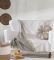   KENTIA ALEXANDRA 26  802...