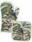 �����-������� KENTIA AMAZON ������� 2TMX