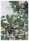  KENTIA KENYA GREEN / ECRU 150X...