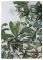 �������������� KENTIA KENYA GREEN / ECRU 150X...
