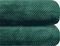   KENTIA BELLA 36 EMERALD GR...
