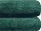   KENTIA BELLA 36 EMERALD GR...