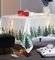  KENTI SNOW 2222 ECRU- GREEN 1...