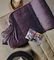   KENTIA SERGIO 04 MAUVE 18025...
