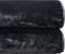   KENTIA BELLA 30 BLACK (180...