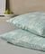   KENTIA MALIE 29A (2)