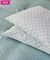   KENTIA NEVE 29A (2)