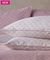   KENTIA NEVE 35 (2)