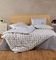    KENTIA CRYSTAL 01 (4...