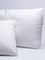  PALAMAIKI CALEFFI COMFORT TOP ANATOMICO WHITE (50X70 CM)