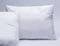   PALAMAIKI SOFT DOWN COMFORT ...